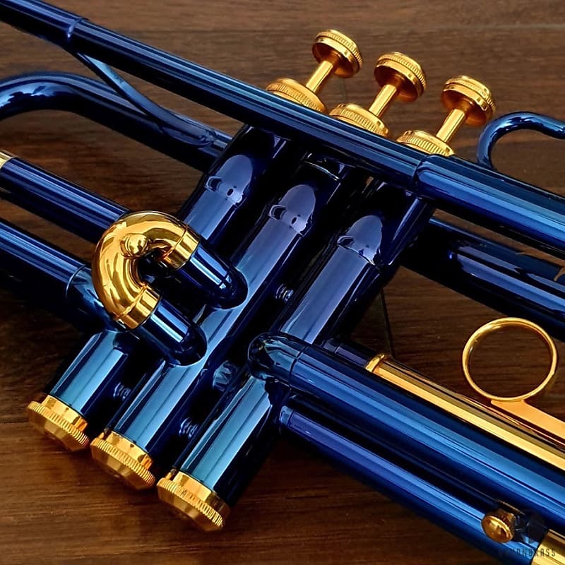 Kind of Blue! Martin Committee T3460, original case | Gamonbrass trumpet