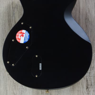 ESP LTD EC-1000 Guitar, Macassar Ebony Fretboard, Vintage Black image 4