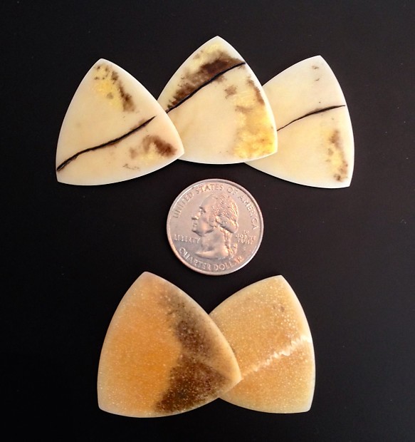 Turtle shell guitar sale pick