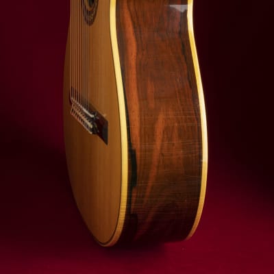 Immagine 1981 Sergei de Jonge 10 String Classical Guitar - Brazilian Rosewood, Luthier Letter of Appraisal - 10
