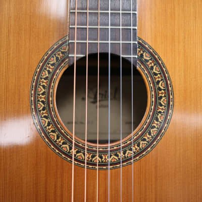 Rare Vintage Classical Ariel (Aria) Acoustic Guitar Model 53 Laminate Wood MIJ image 11