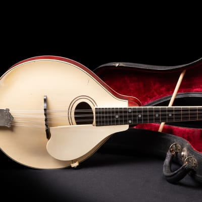 Gibson Mandoline A3 1919 - Ivory image 2