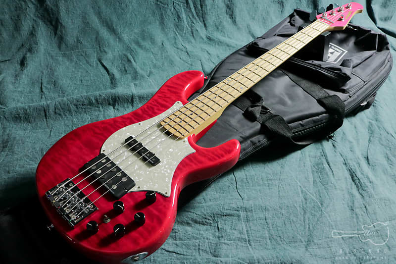 EDWARDS E-T-170BD (See Thru Pink) L'Arc～en～Ciel tetsuya