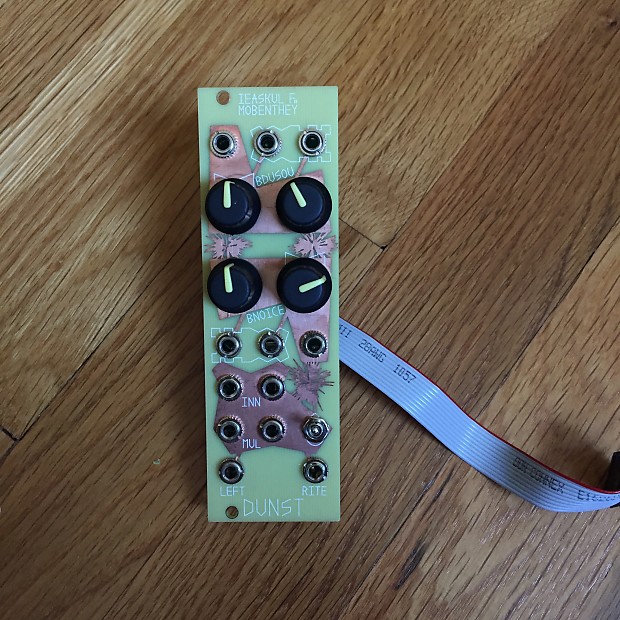 Ieaskul F. Mobenthey Dunst Eurorack Module | Reverb