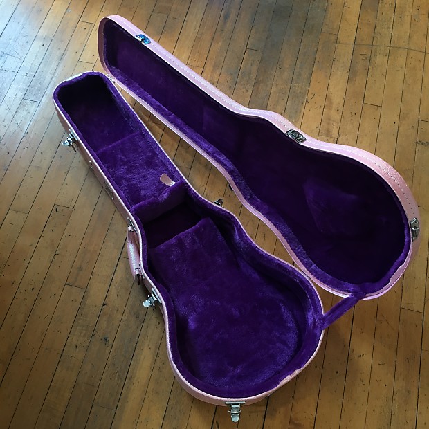 Daisy rock cheap guitar case