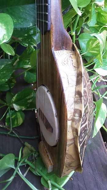 Turtle shell banjo deals