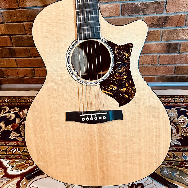 Martin GPCPA4 プレイヤーズコンディション Martin Performing Artist GPCPA4 2013 - 2018 | Reverb