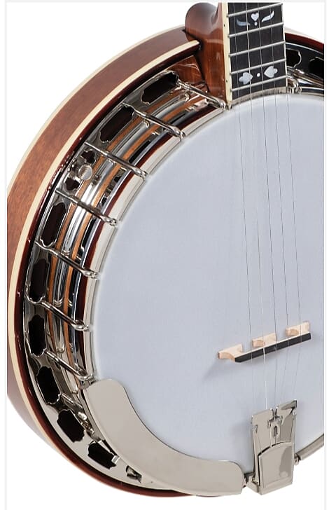 Recording King RK-ELITE-76 Resonator Banjo with USA Setup & FREE HSC! image 1