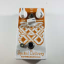 EarthQuaker Devices Spatial Delivery Sample & Hold Envelope Filter *Sustainably Shipped*