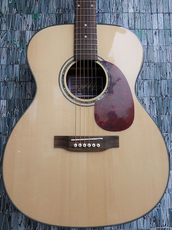 Freshman FA1FNPRE Solid Spruce Top Acoustic image 1