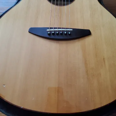 Baden A Style Acoustic Electric Rosewood / Cedar w/ OHSC || Fishman Pickup image 12