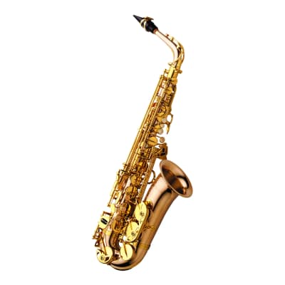 Yanagisawa A-WO2 Bronze model Alto Saxophone Clear Lacquer Finish MADE IN JAPAN image 4