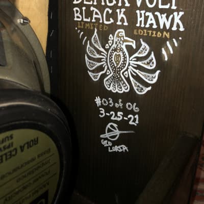 Black Volt Black Hawk Limited Edition Amplifier with Black Back Celestion image 4