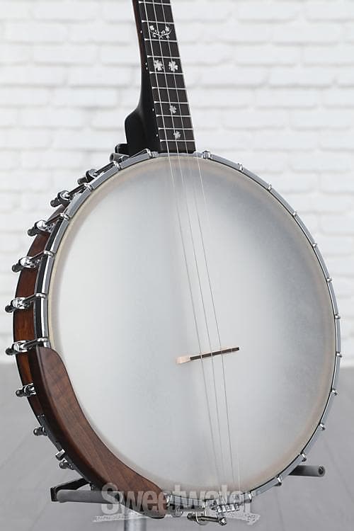 Gold Tone IT-17 Irish Tenor Banjo - Vintage Brown | Reverb