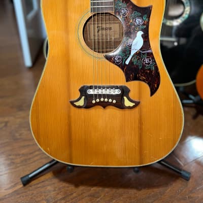 Tomson TG-250 アコースティックギター ジャンク品 二光通販㈱トムソン・ダヴモデルがこれだ！TG-250 超激鳴・超美