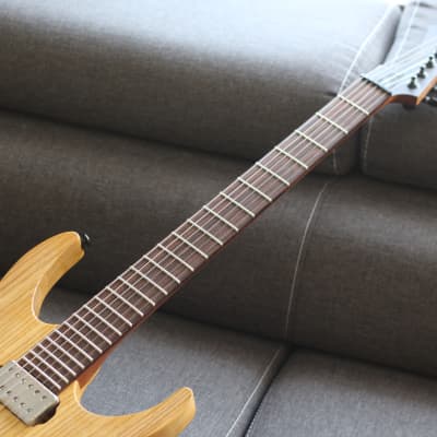 Siggery Heresy 6 Electric Guitar with Beta Blocker Pickups
