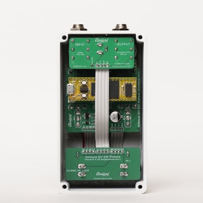 Hothouse Digital Signal Processing Pedal (Assembled) - Legacy MONO Version image 3