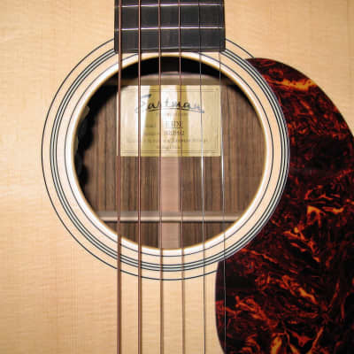 Eastman E3DE Dreadnought Acoustic Electric Guitar w/Gig Bag image 3