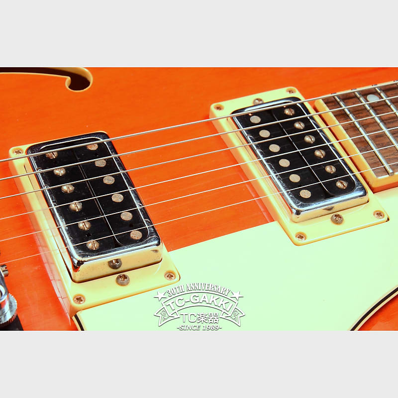 Aria Pro II：FA-80 | Reverb