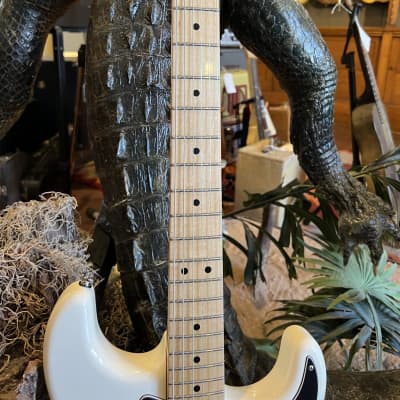 Fender Stratocaster Partscaster Build w/ Hard Shell Case image 10