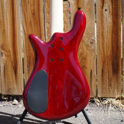 Spector Bantam-5 Black Cherry Gloss 32 inch 5-String Bass Guitar w/ Gig Bag image 9