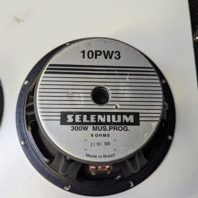 Matched Pair! Selenium 10PW3 Bass/Guitar/PA 300 Watt 10" Speakers - Look And Sound Excellent! image 6