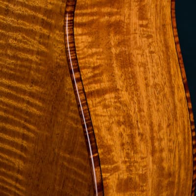 Ressler Parlor 12-Fret Flame Mahogany and Bearclaw Sitka Spruce NEW image 19