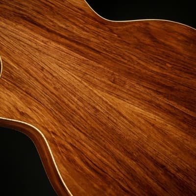 Taylor Custom GA - Honduran Rosewood/Adirondack image 12