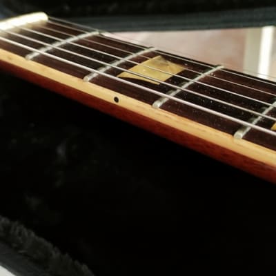 Fernandes / Burny FLG-100 (Tokai Made) Modify 1976