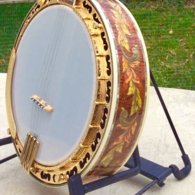 Ome Grand Artist MegaVox "African Savannah" Tenor Banjo image 3