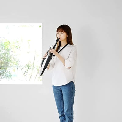 Roland AE-20 Aerophone Digital Wind Instrument - Matte Black and White image 6
