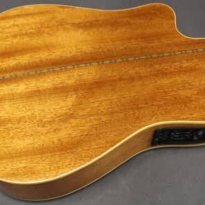 Alvarez Fusion Series FDT410C-12 Ac/El 12 String Thinline Dreadnought Guitar image 9