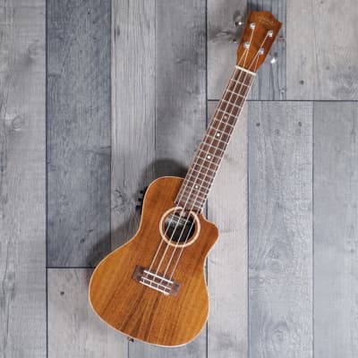 Druid Moon by Folkcraft Bobbi-Jo Dulcilele Hybrid Dulcimer | Reverb UK