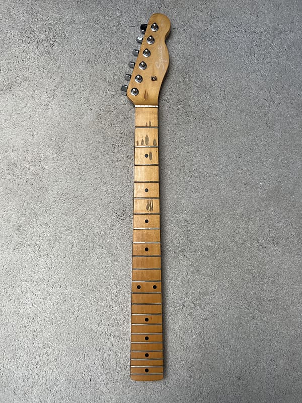 Fender Squire Neck Reverb