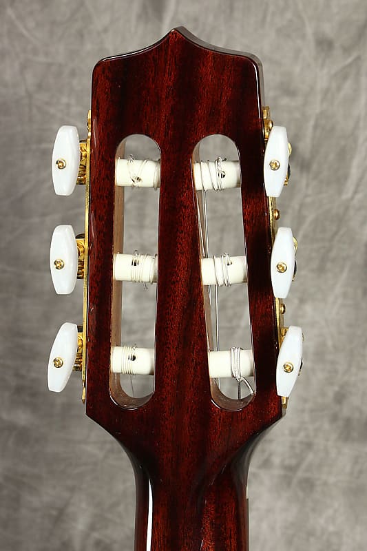 Takamine PTU608N AS(GB) - Shipping Included* | Reverb
