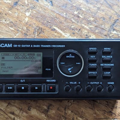 Tascam LR-10 Instrument & Vocal Trainer/Recorder w/ 2GB Card - In