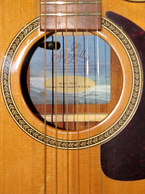 Seagull performer mini jumbo cw gt qii top