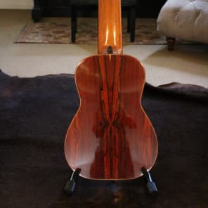 Darren Hippner 11 string Concert Classical 2011 image 5