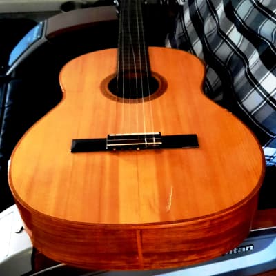 GIANNINI GN-60 CLASSICAL-FOLK 1960’s-NATURAL WOODS, NEEDS TLC AND EXPERT LUTHIER'S HANDS image 25