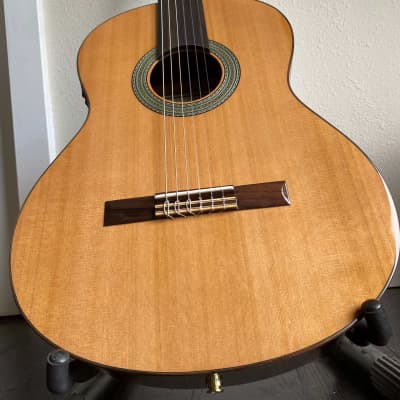 Altamira fretless deals