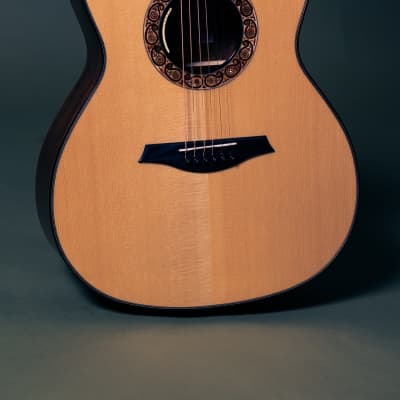 Mayson Duke Custom Acoustic Guitar - Grand Auditorium Cutaway w/ LR Baggs Anthem (MASTERBUILD) for sale