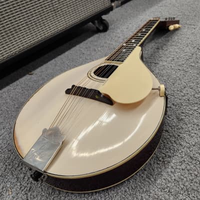 Gibson  A3 mandolin  1919 - Ivory (White top) with case image 17