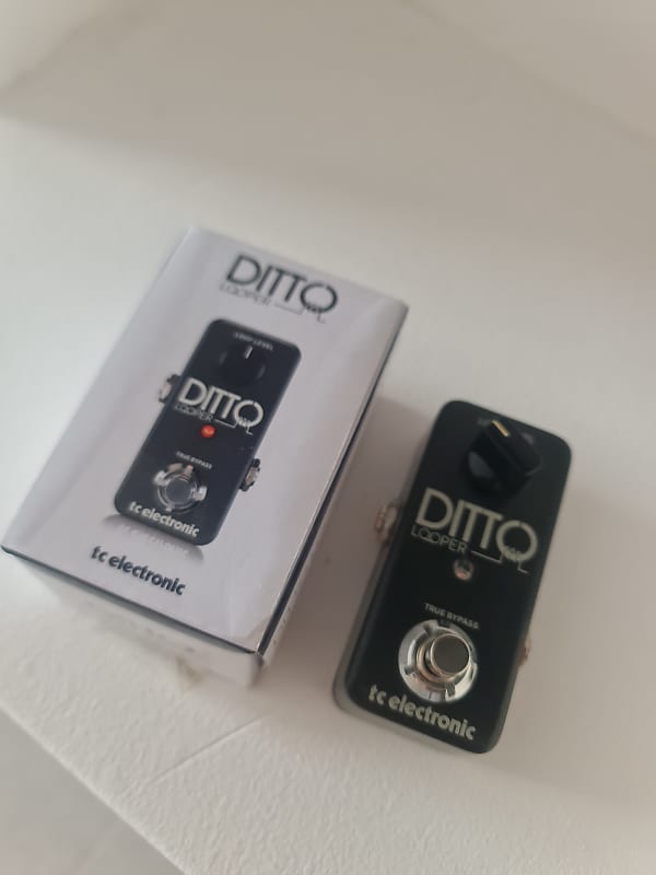 TC Electronic Ditto+ Looper | Reverb Italia