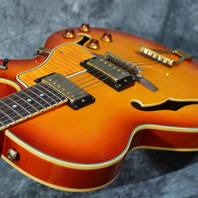 Landscape SA-101 Single Cut Prototype Hollow Body Archtop Electric 00s Made in Japan Sunburst w Case image 5