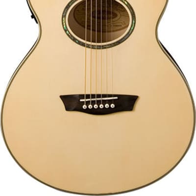 Washburn Guitars Festival Series EA20 Florentine Cutaway Acoustic/Electric Guitar image 1