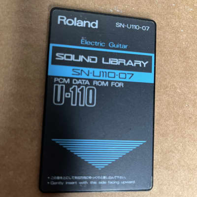 Roland SN-U110-07 Electric Guitar 80s and 90s
