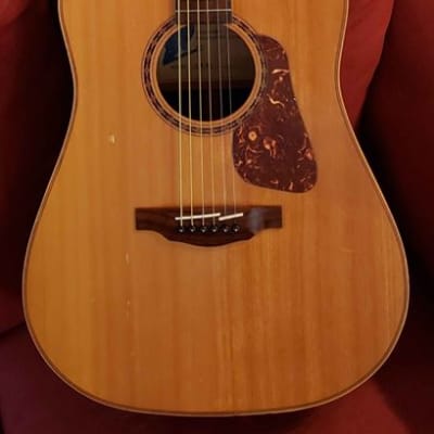 Palmer LW20 Acoustic Guitar image 1