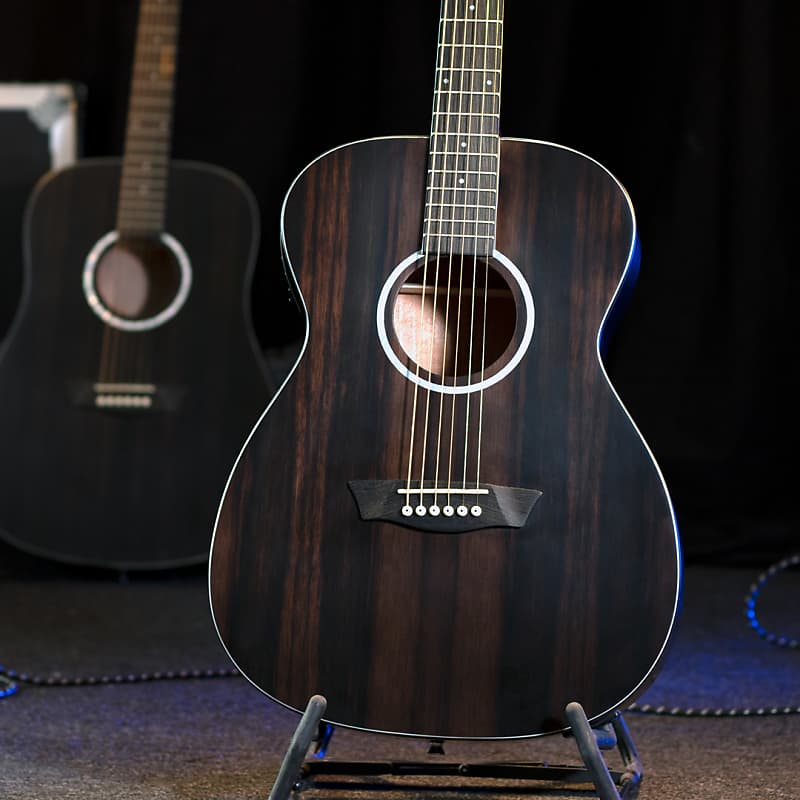 Washburn Deep Forest Ebony FE Acoustic Electric Guitar