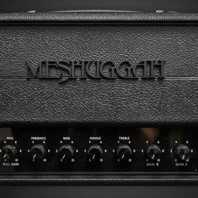 Fortin Amplification Meshuggah Signature Limited Edition Head image 1