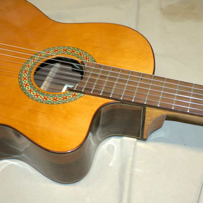 Manuel Rodriguez Model A Cut Classical Acoustic Guitar with Case image 7